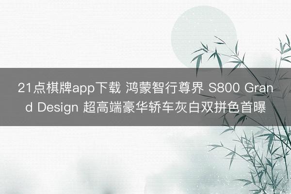 21点棋牌app下载 鸿蒙智行尊界 S800 Grand Design 超高端豪华轿车灰白双拼色首曝
