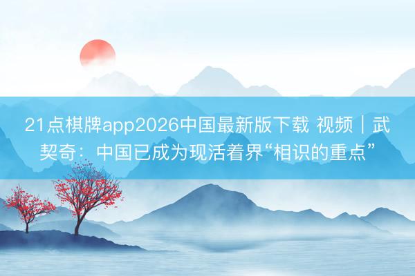 21点棋牌app2026中国最新版下载 视频｜武契奇：中国已成为现活着界“相识的重点”